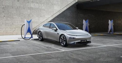2021廣州人愛(ài)開(kāi)什么車 奪冠的竟是一輛電動(dòng)車